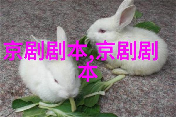 京剧十二红头本剧本唱词