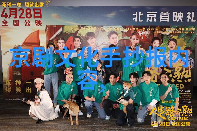 皮影事业和龙在天人的追求